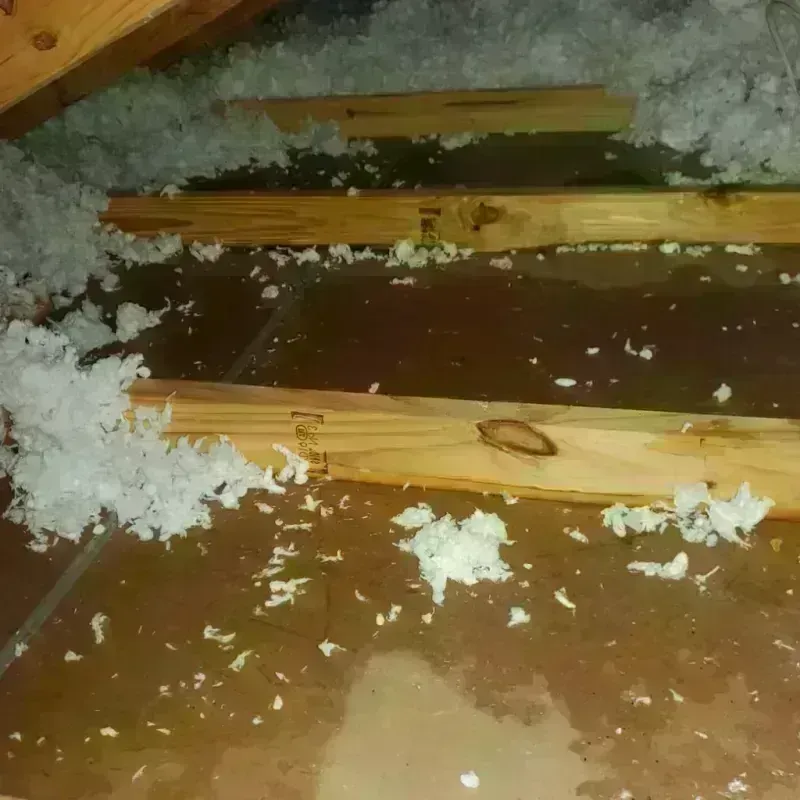 Attic Water Damage in Petersburg, VA