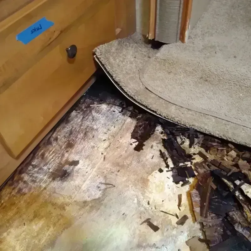 Wood Floor Water Damage in Petersburg, VA